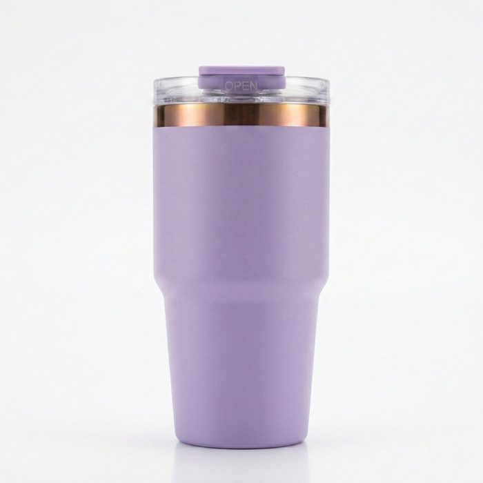 20 oz Insulated Stainless Steel Tumbler with Handle, 2-in-1 Straw and Sip Lid, 600ml Travel Coffee Mug, Car Cup Holder Friendly Leak-Resistant Water Bottle - S6006VH
