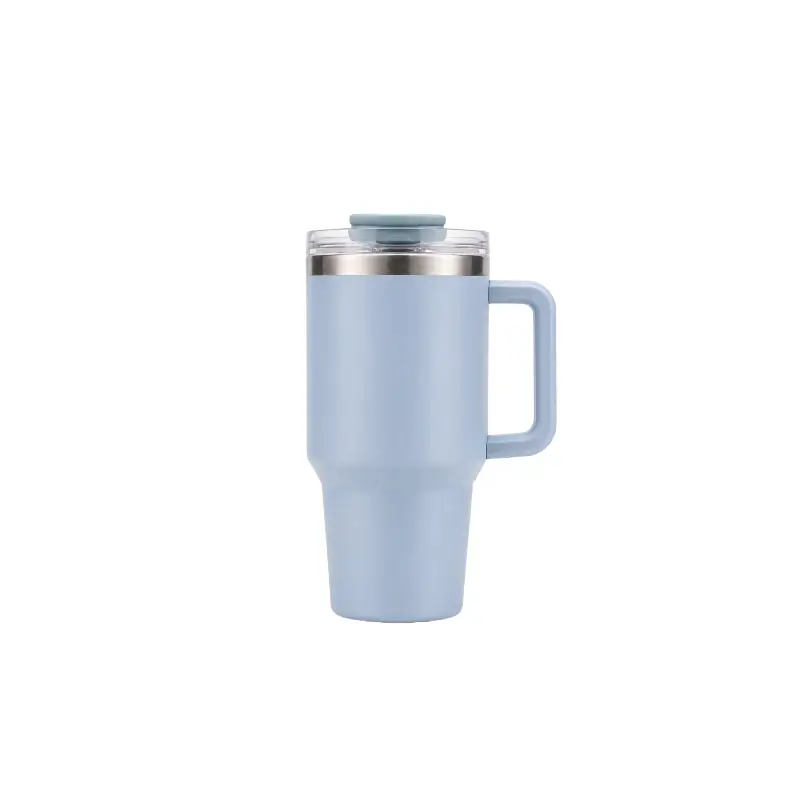 20 oz Insulated Stainless Steel Tumbler with Handle,  Leak-Resistant Water Bottle S6002VH