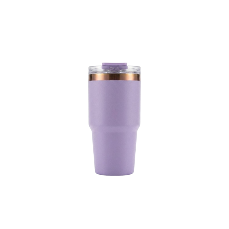 20 oz Insulated Stainless Steel Tumbler with Handle,  Leak-Resistant Water Bottle S6006VH